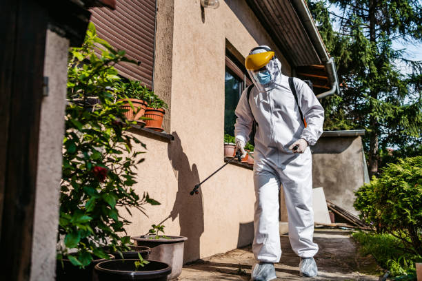 Best Pest Control for Homes  in Fern Acres, HI