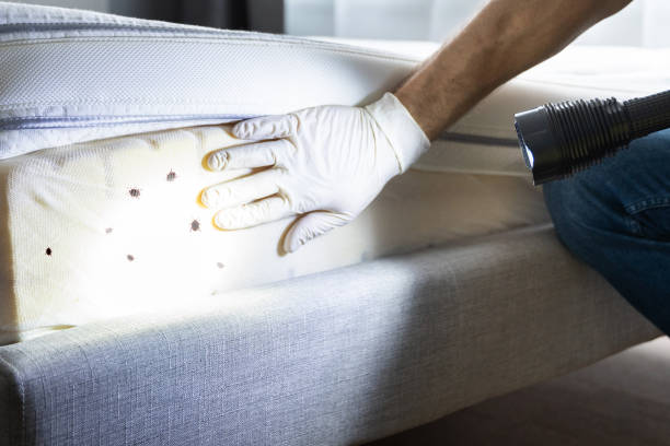 Best Pest Control for Restaurants  in Fern Acres, HI